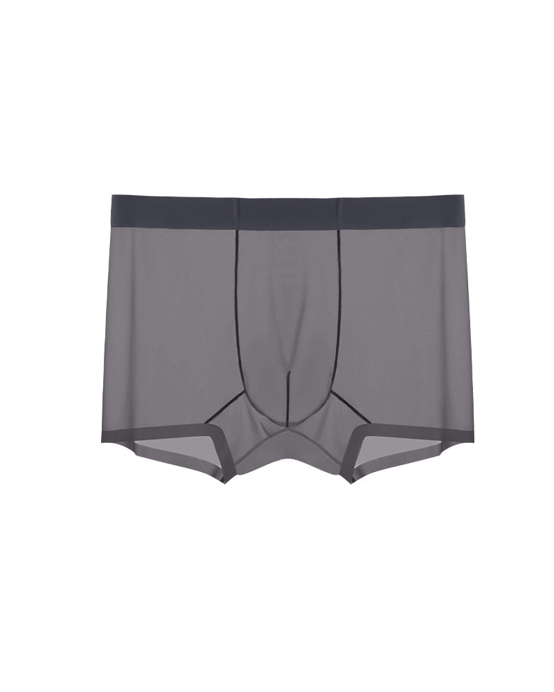 Men's Ice Silk Sexy Comfortable Thin Seamless Breathable Underwear