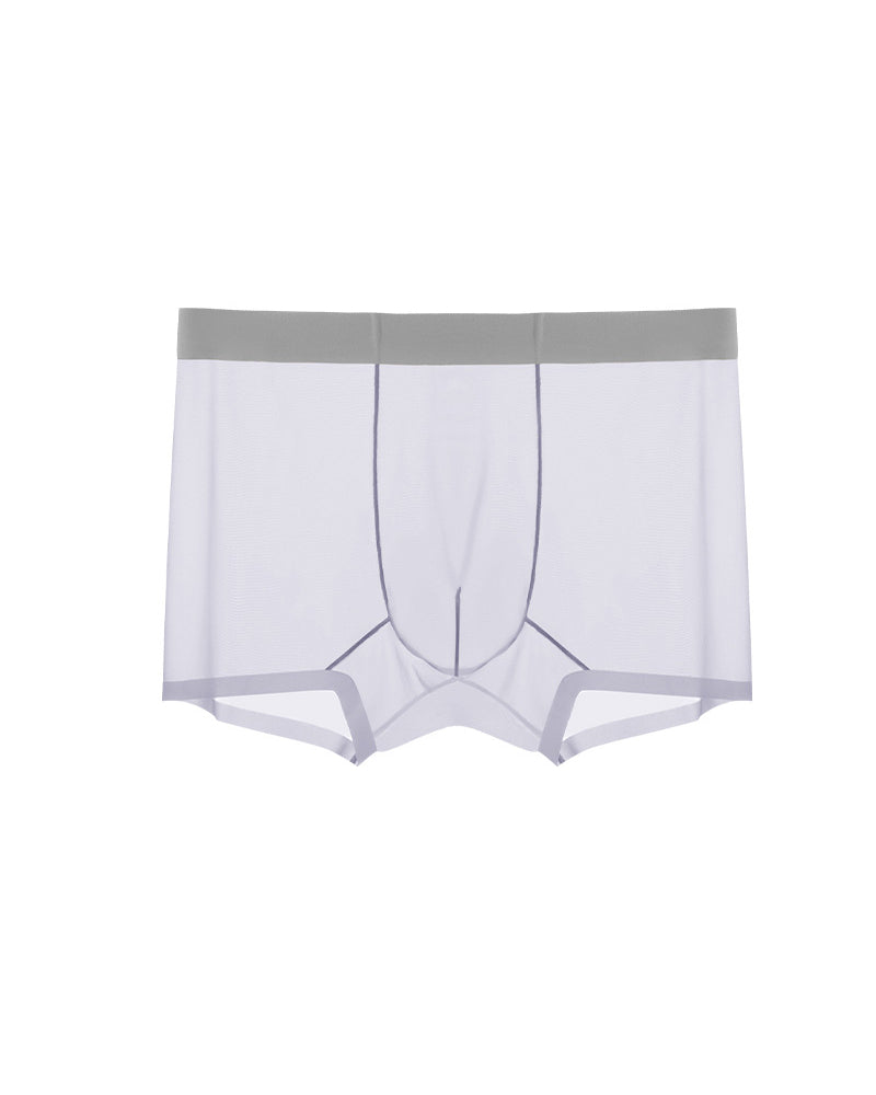 Men's Ice Silk Sexy Comfortable Thin Seamless Breathable Underwear