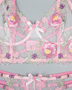 Floral Embroidered Mesh Longline Bra & Thong Set