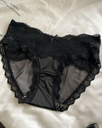 Sexy Colorblock Lace Mesh Sheer Panties